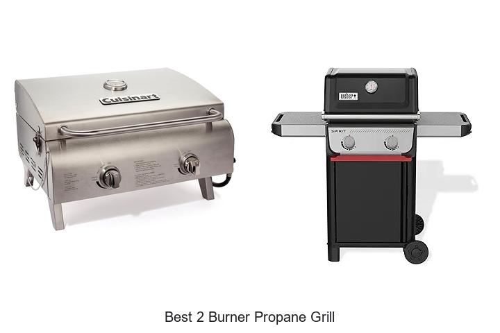 Best 2 Burner Propane Grill That Will Change Your BBQ Game