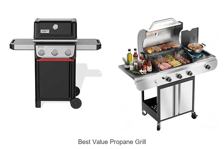 Best Value Propane Grill That Will Blow Your Mind Today