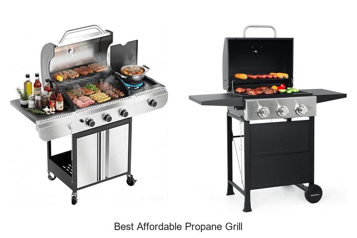 Best Affordable Propane Grill That Will Blow Your Mind