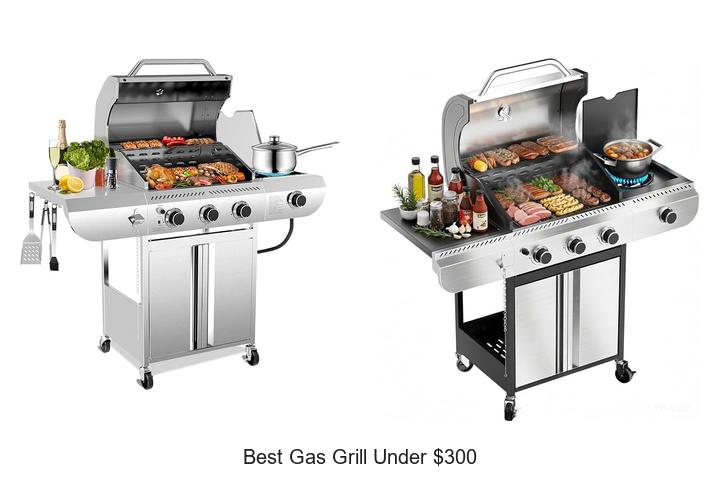 Best Gas Grill Under $300 That Will Blow Your Mind Today!