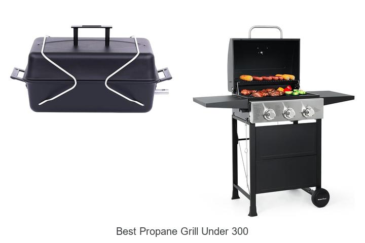 Best Propane Grill Under 300 That Will Blow Your Mind