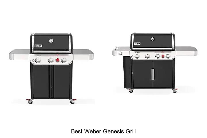Best Weber Genesis Grill Tips That Will Blow Your Mind